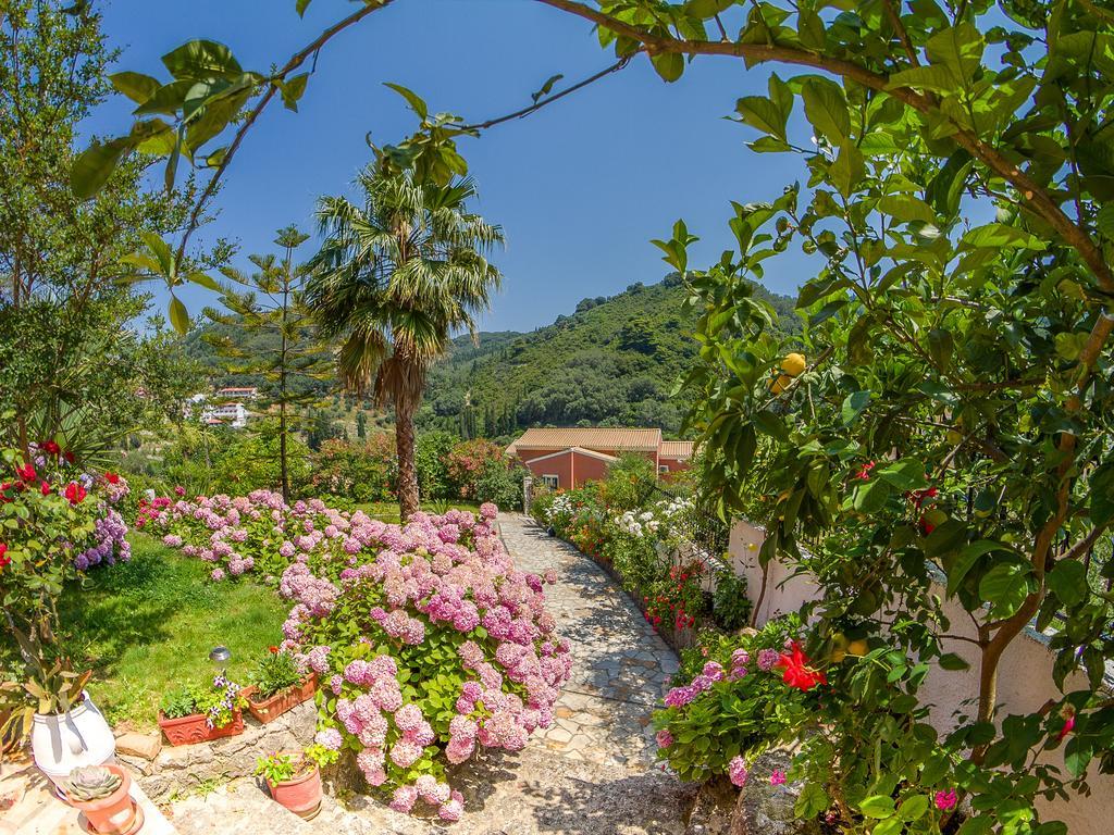 Evergreen Apartments Agios Gordios  Pokój zdjęcie