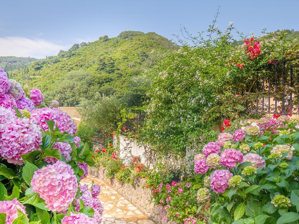 Evergreen Apartments Agios Gordios  Pokój zdjęcie